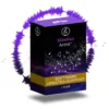 Sibelius Artist 1-Years Software Updates+Support