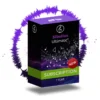 Sibelius Ultimate 1Y Subscription NEW