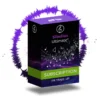 Sibelius Ultimate 1Y Subscription TRADE-UP