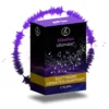 Sibelius Ultimate 3-Years Software Updates&Support
