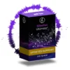 Sibelius Ultimate 3Y Updates Support RENEW