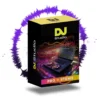 DJ.Studio Pro + Stems